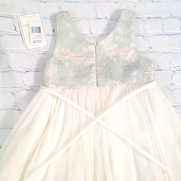 Embroidered and Rhinestone Dress - Picture 4 of 4